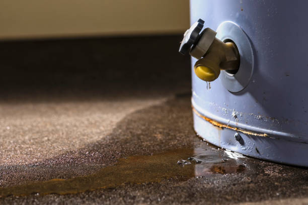 Best Basement water damage restoration  in Irving, TX