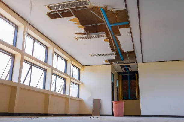 Best Ceiling water damage repair  in Irving, TX