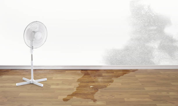 Best Fire Damage Restoration  in Irving, TX