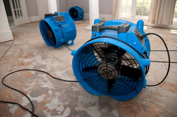 Best Water damage restoration near me  in Irving, TX