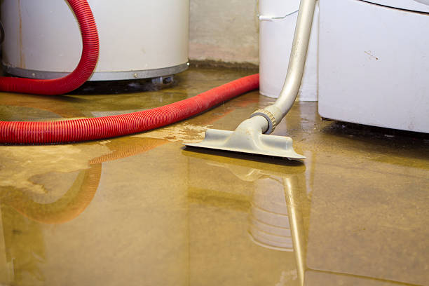  Irving, TX Water damage restoration Pros