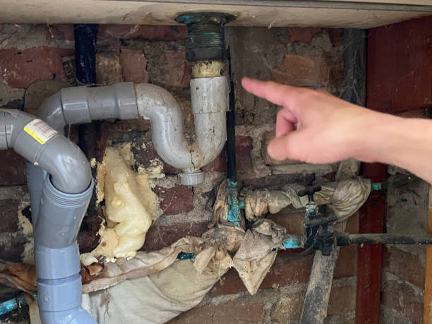 Best Flood damage cleanup  in Irving, TX