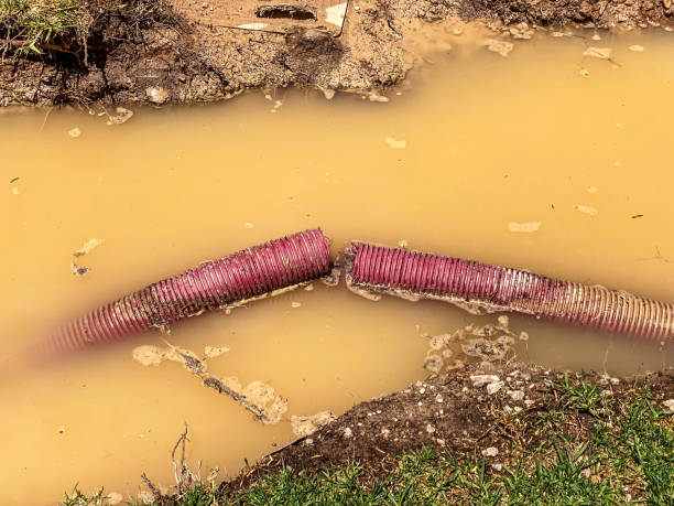 Best Water damage cleanup near me  in Irving, TX